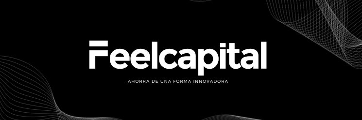 Feelcapital banner