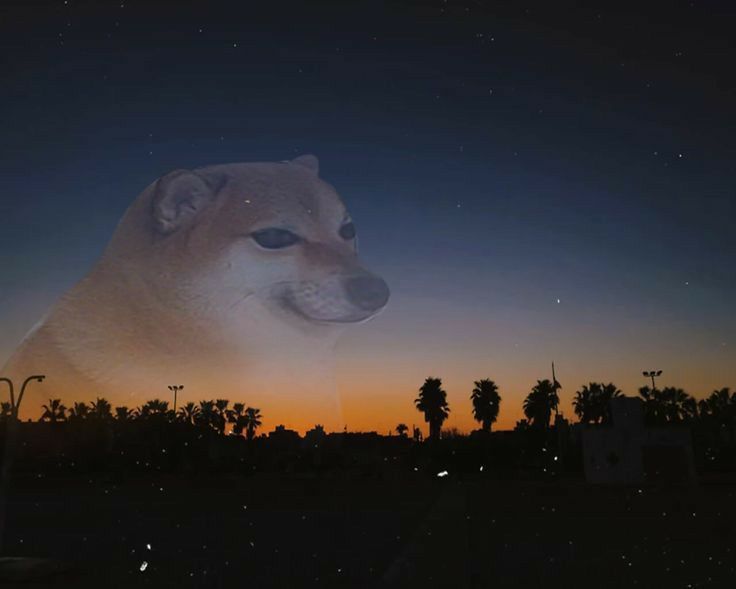 Bzzzz24's profile banner image