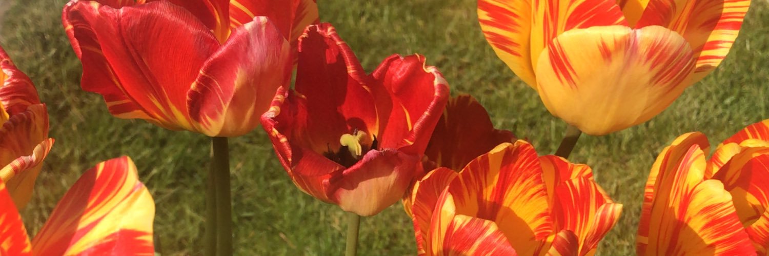 skip21's profile banner image
