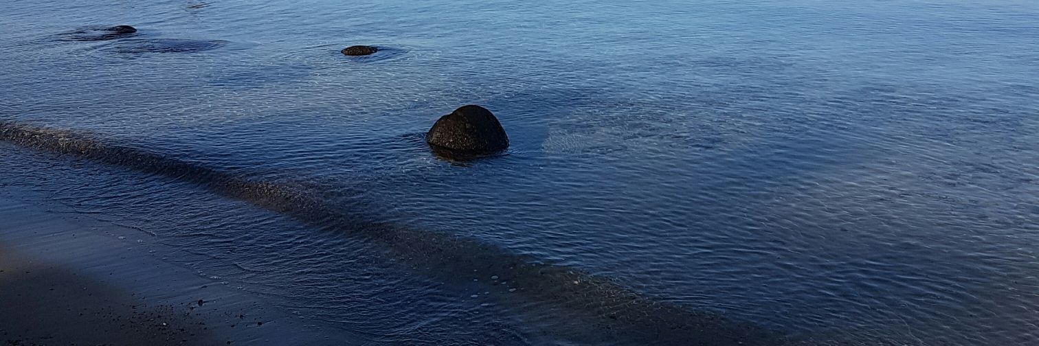 JulilyRoam's profile banner image