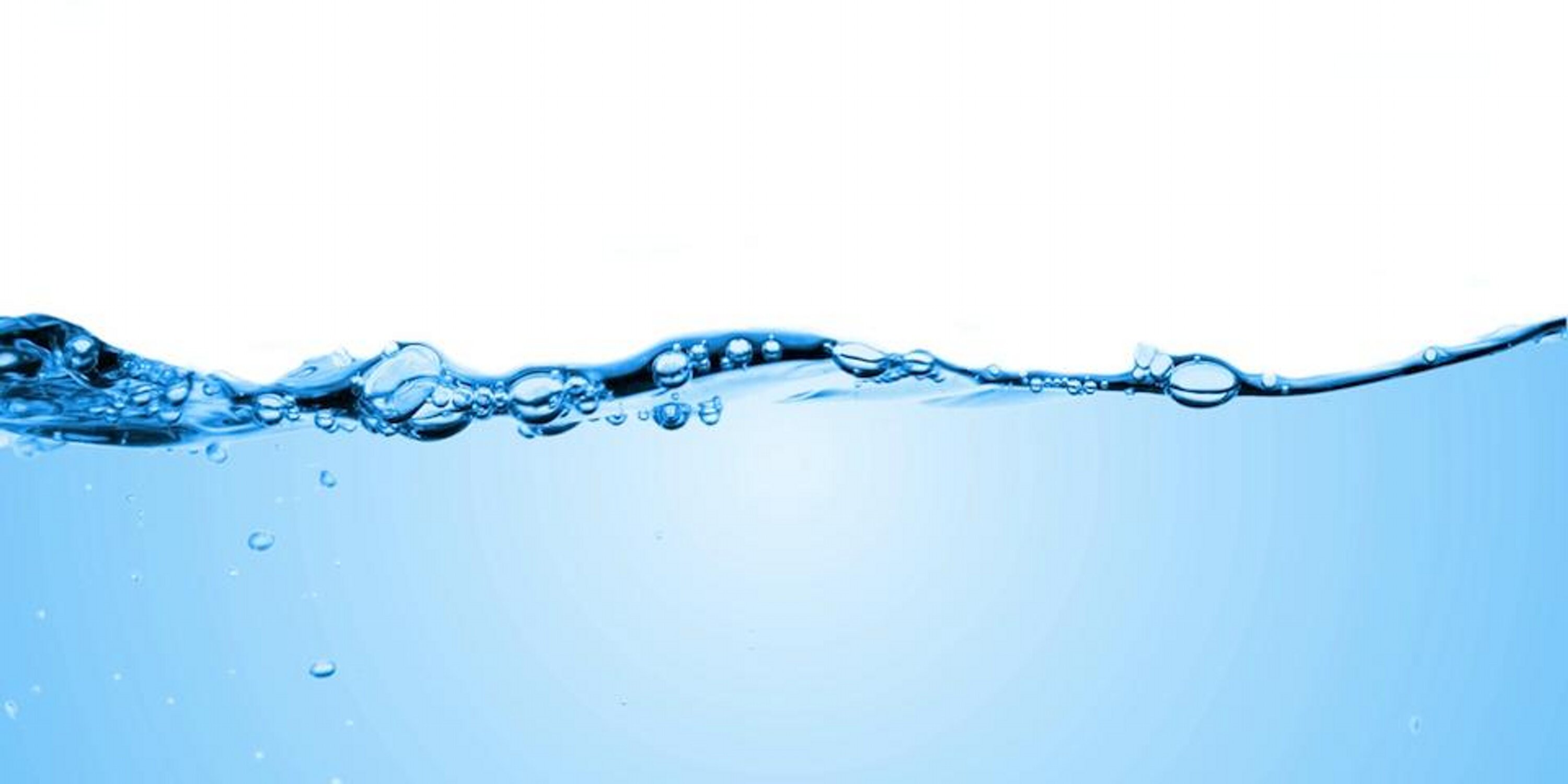 MicrobiaE's profile banner image