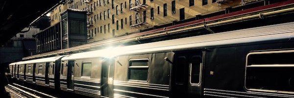 Pamela Weintraub banner