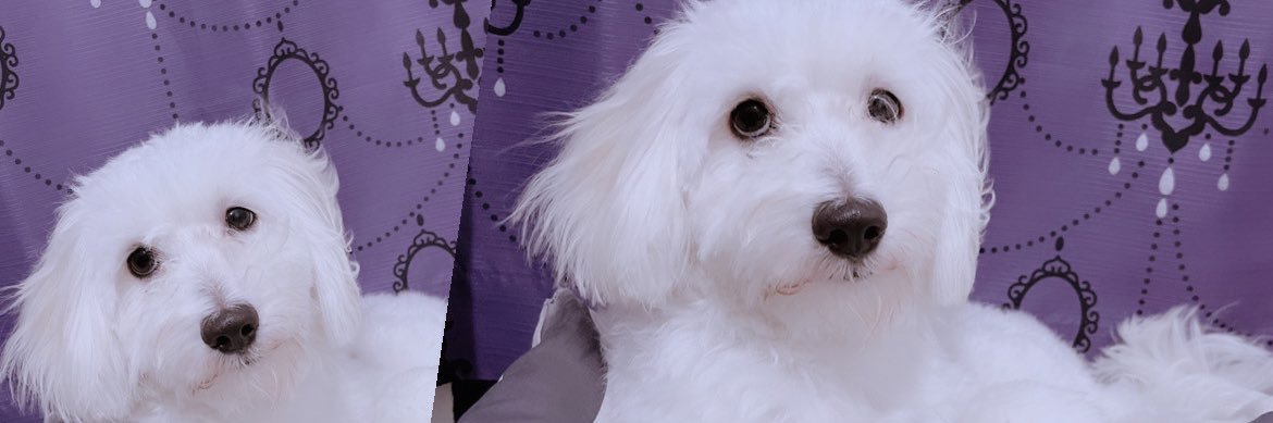 heyitsriye's profile banner image