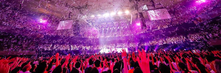 ハイボーラー banner