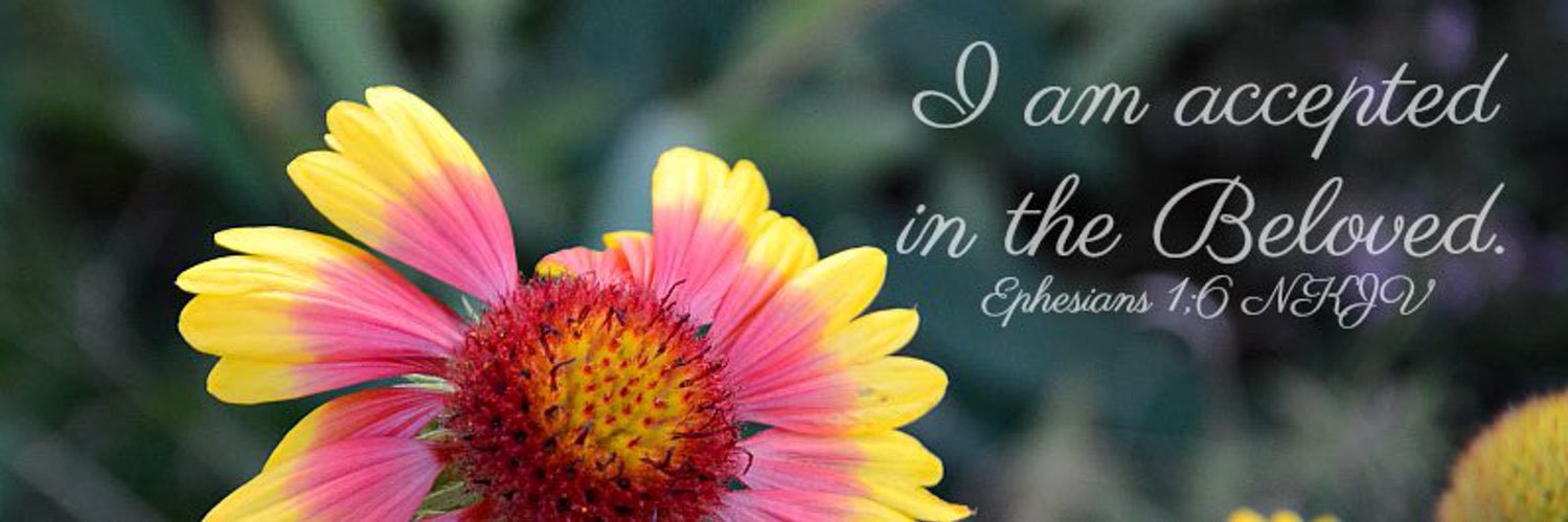 bee__thelight's profile banner image