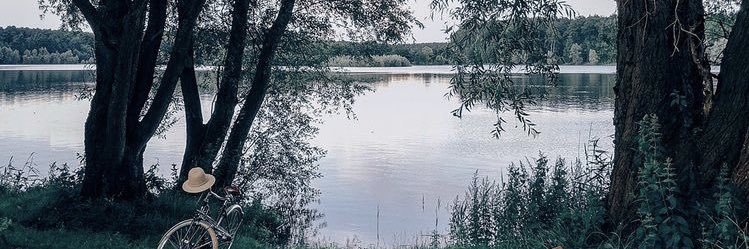 Lujainalsoraikh's profile banner image