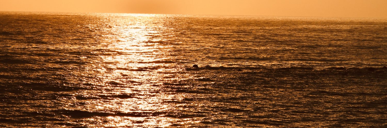 KoPro____7270's profile banner image