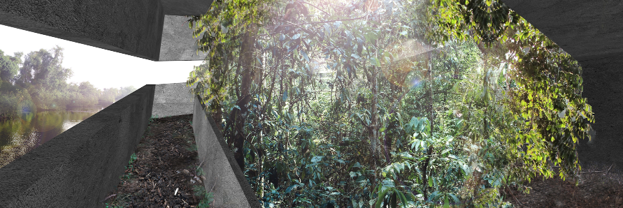 walkergarden's profile banner image