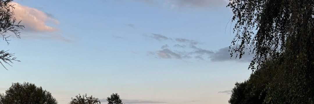 Elodie 🤍 banner