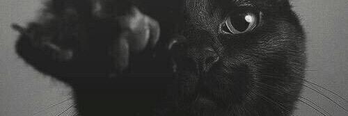 _Maaarie's profile banner image