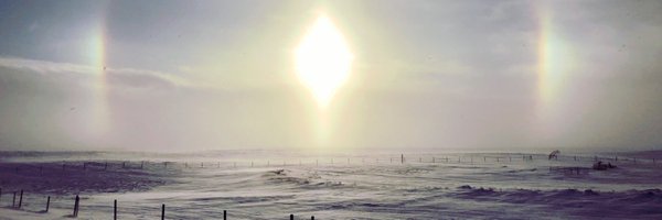 ClinkyCleo Profile Banner