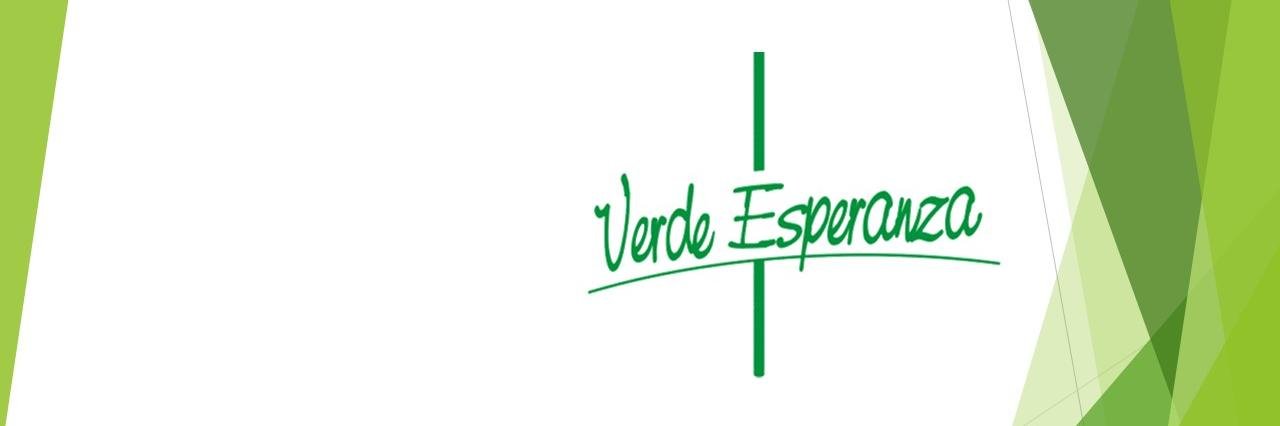 verdesperanzaVE's profile banner image