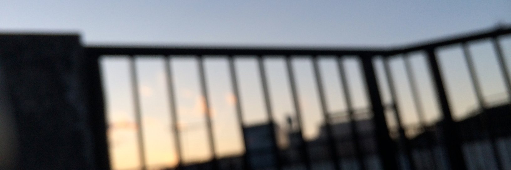 カフェソードフィッシュ banner