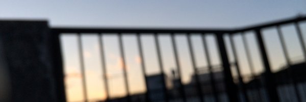 CAFE_SWORDFISH Profile Banner