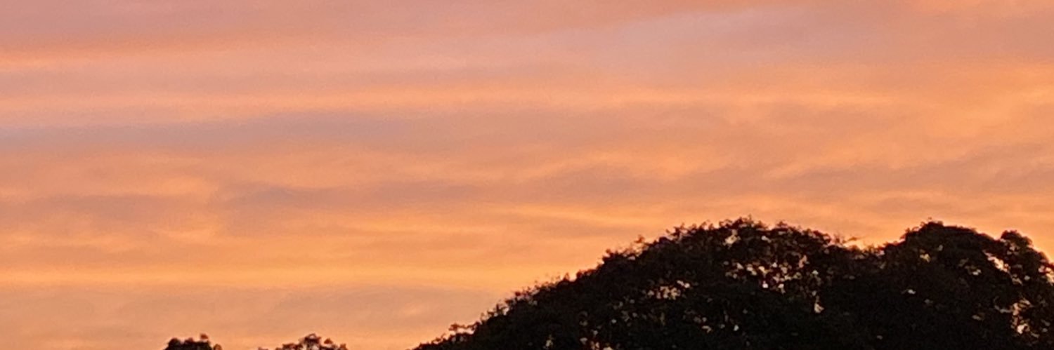 otrojoseito's profile banner image