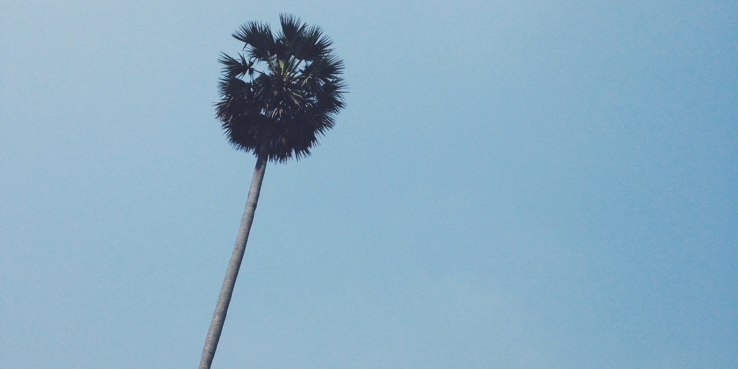 jackrmo's profile banner image