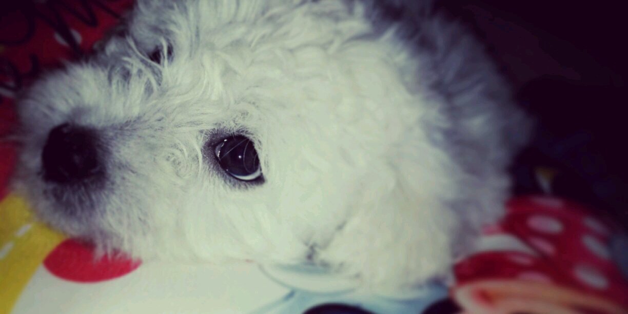 YuceP13's profile banner image