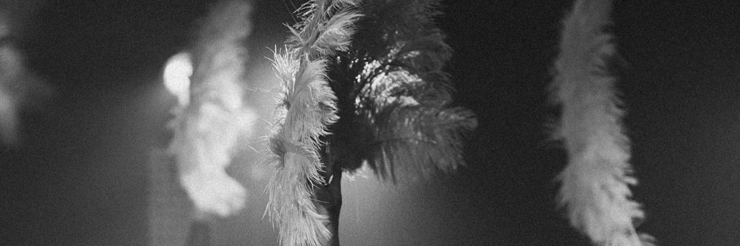 rosemcc93's profile banner image
