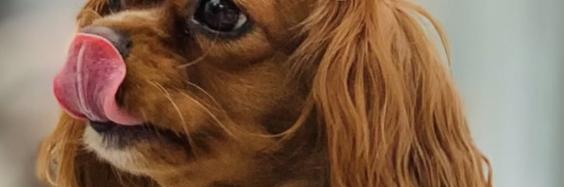 HvanPoucke's profile banner image