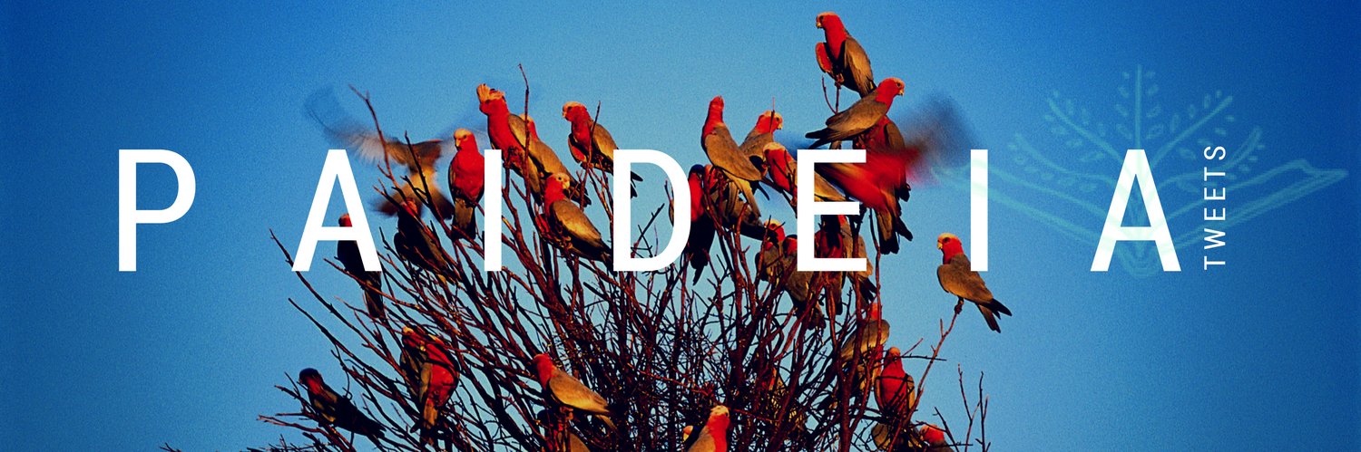 PaideiaCenter's profile banner image