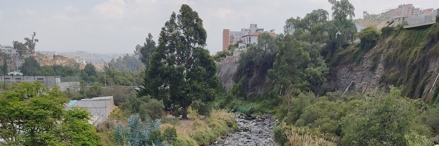 ochimborazo's profile banner image