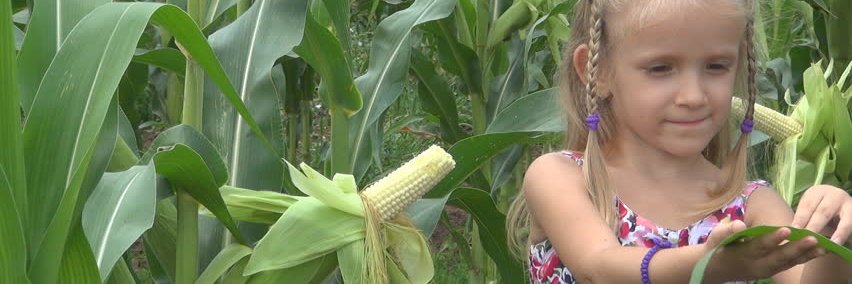 WiltonFoodPntry's profile banner image