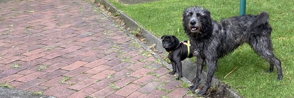 romerovaron Profile Banner