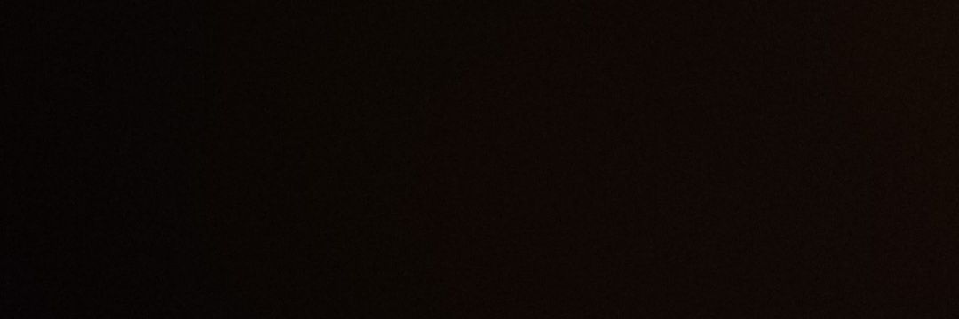 LadyGunslinga's profile banner image