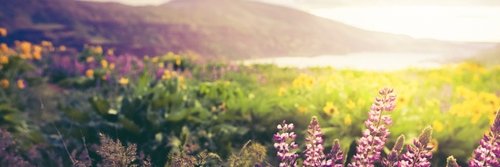 dnetfinance's profile banner image