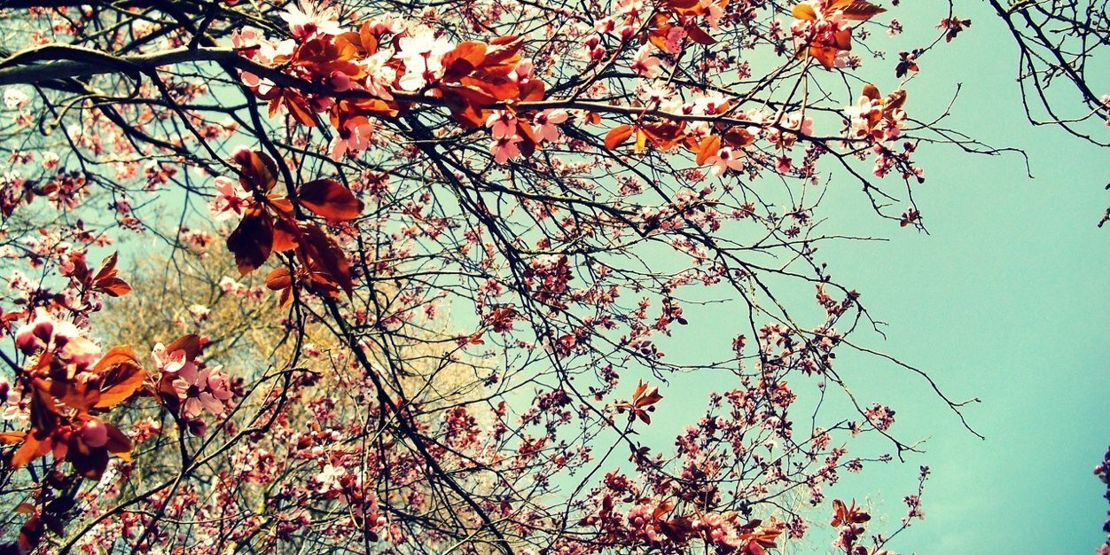 ssteph_29's profile banner image