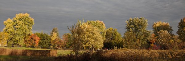 taxmegan Profile Banner