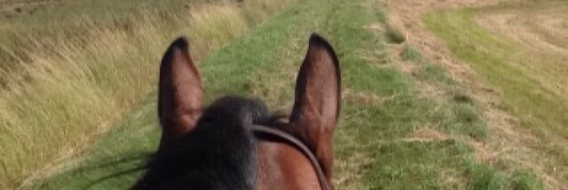 equestrian_eh's profile banner image