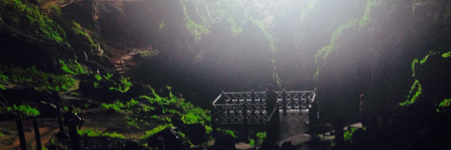 EllenDonovan0's profile banner image