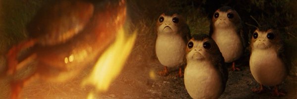 Raiyns Profile Banner