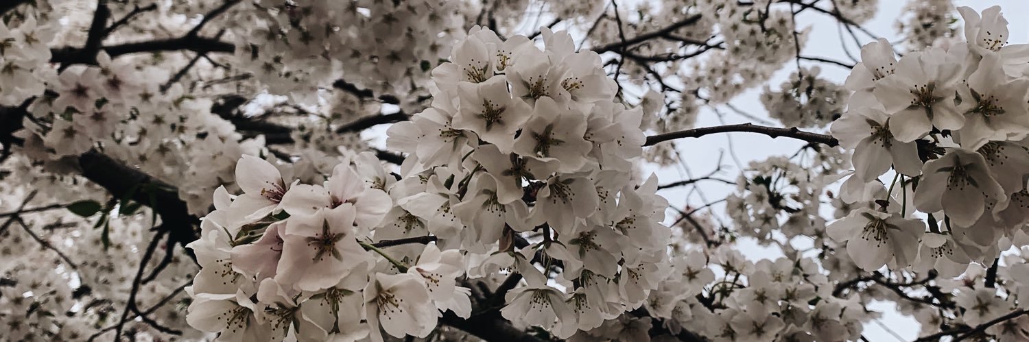 laurenlongm's profile banner image