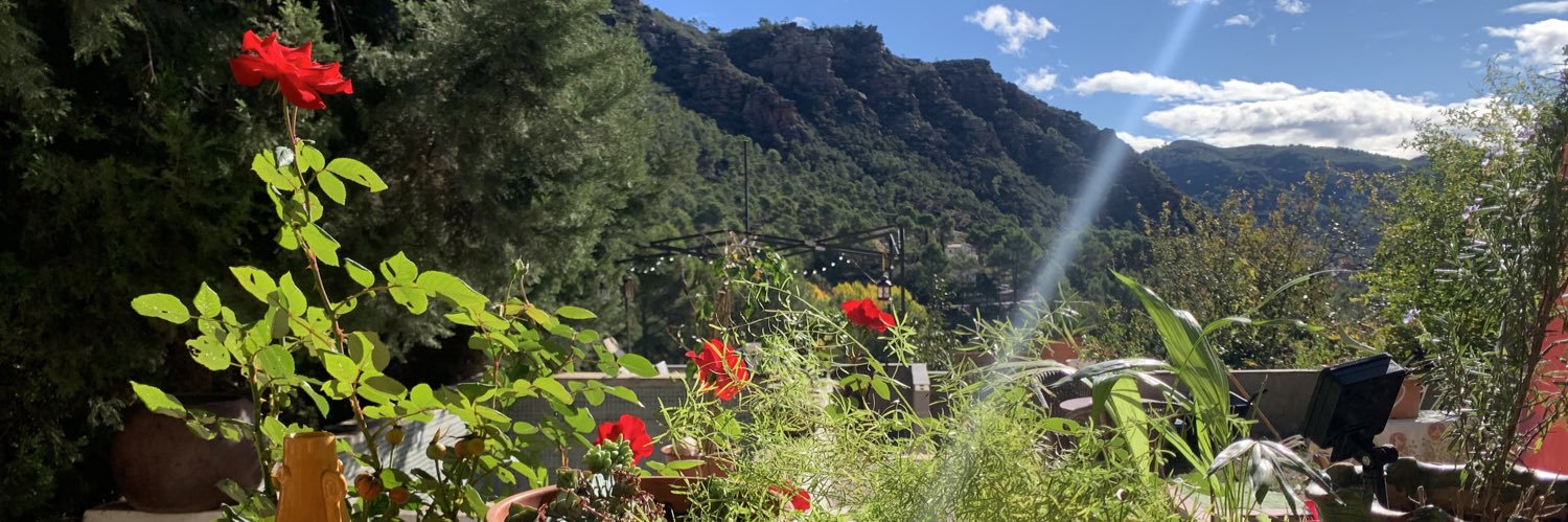 Jesús Salmerón 🍃🇪🇸 banner
