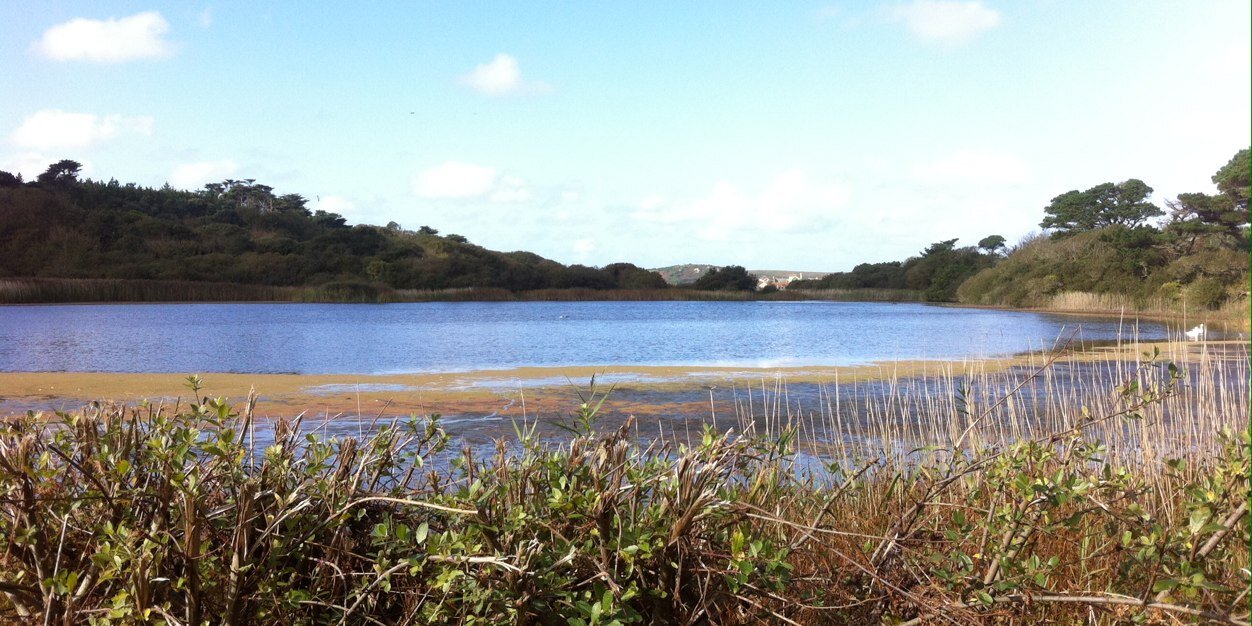 Hertsbirds's profile banner image