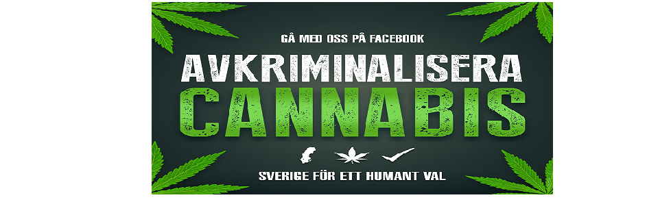 Avkrim's profile banner image
