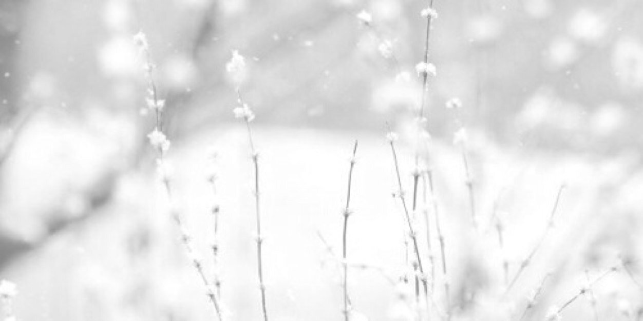 harrytxgdr's profile banner image