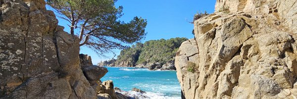 bnrjt07 Profile Banner