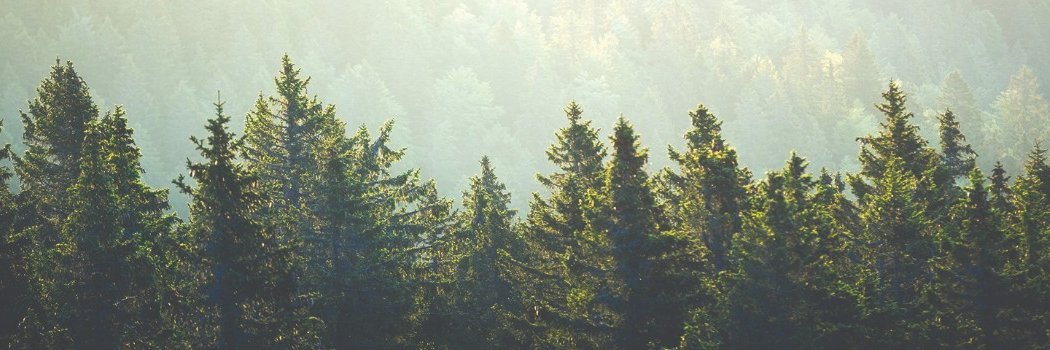 HIGHLANDFA's profile banner image