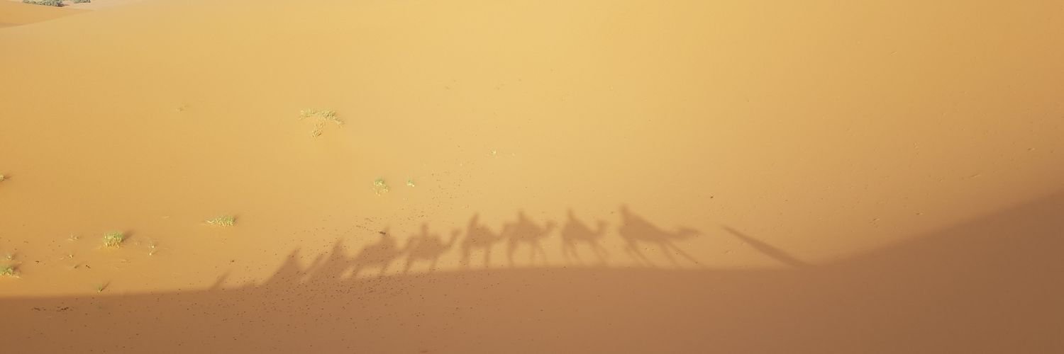 CarolSchoch's profile banner image