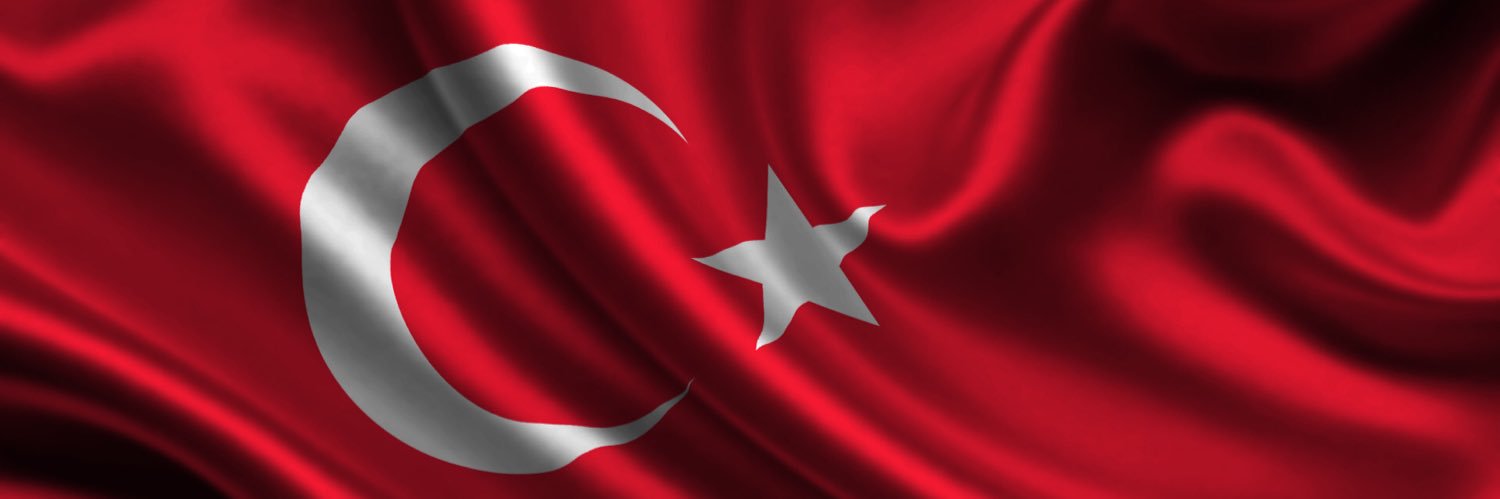 Hamit Altintop banner