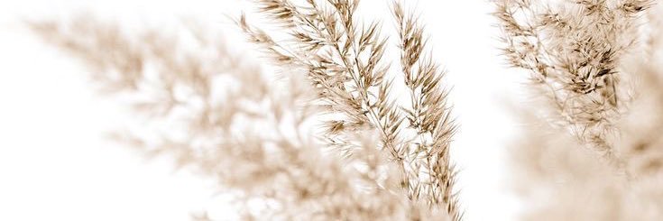 callieh09's profile banner image