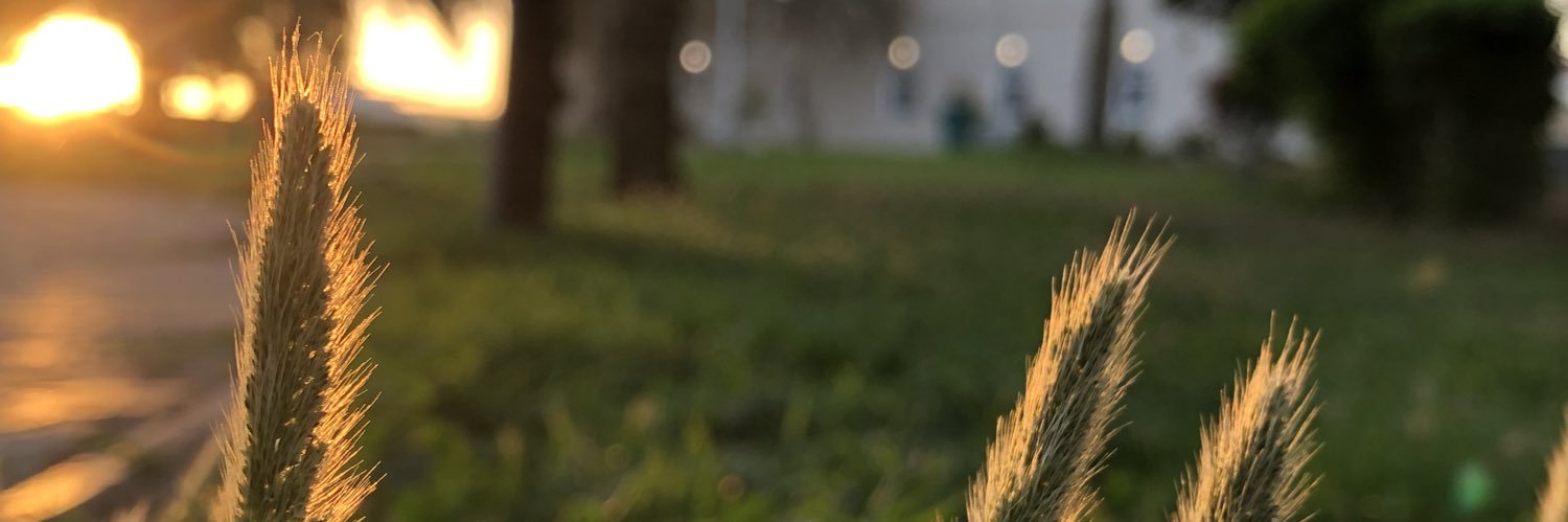 H_212's profile banner image