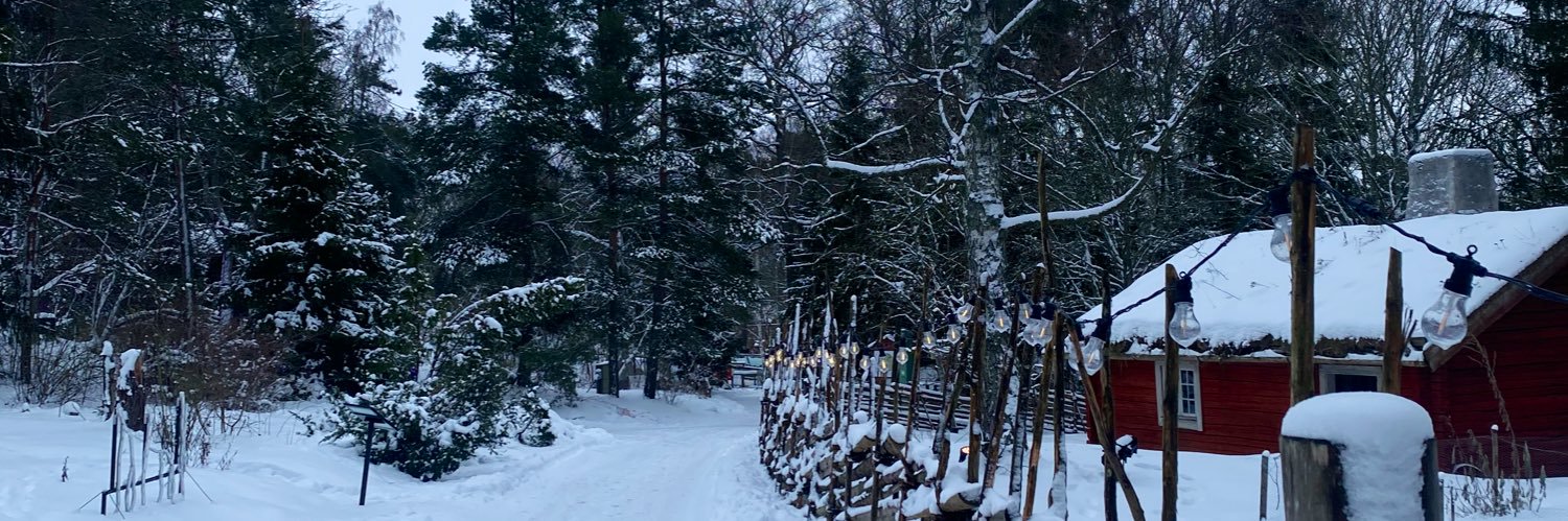 luissTKO's profile banner image