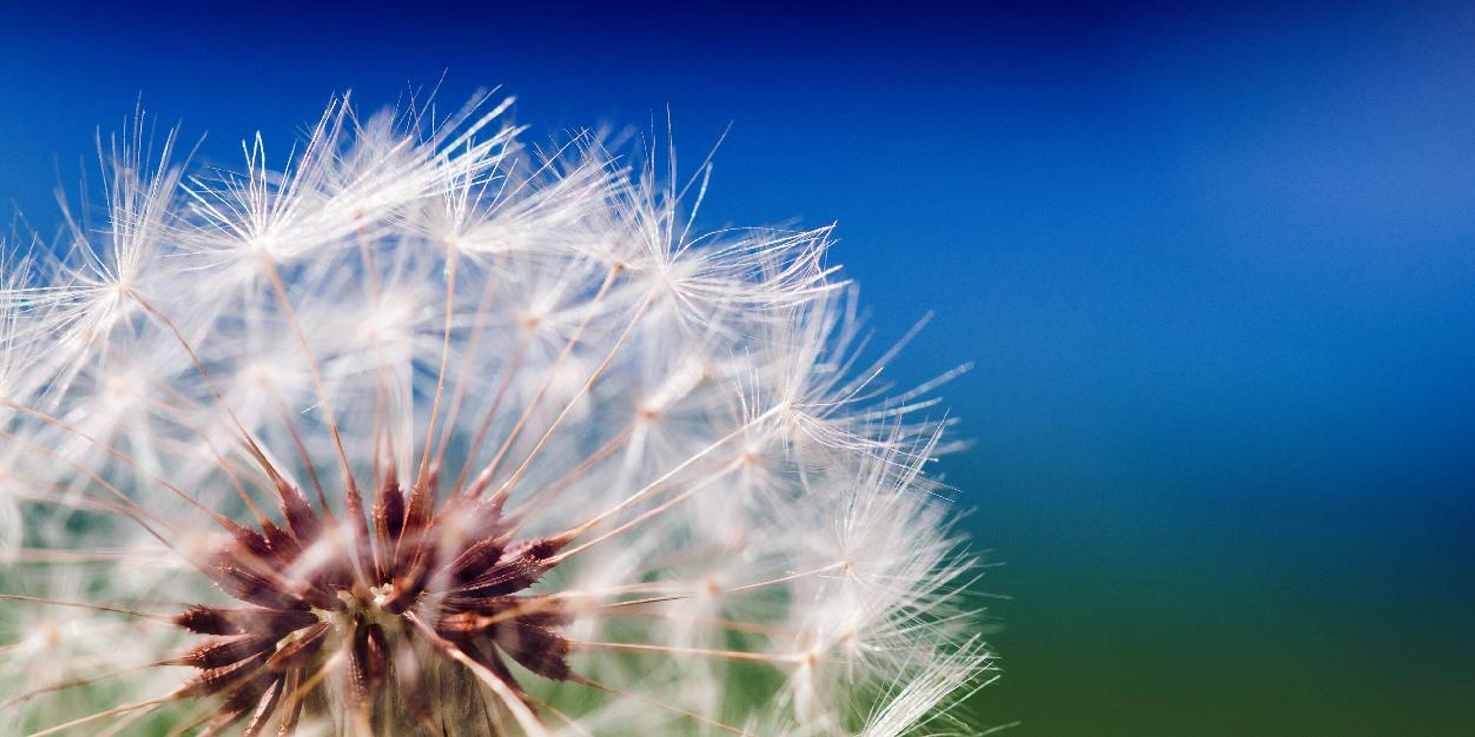 MH InnovationNetwork banner