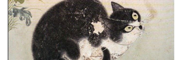 catbitesbooks's profile banner image