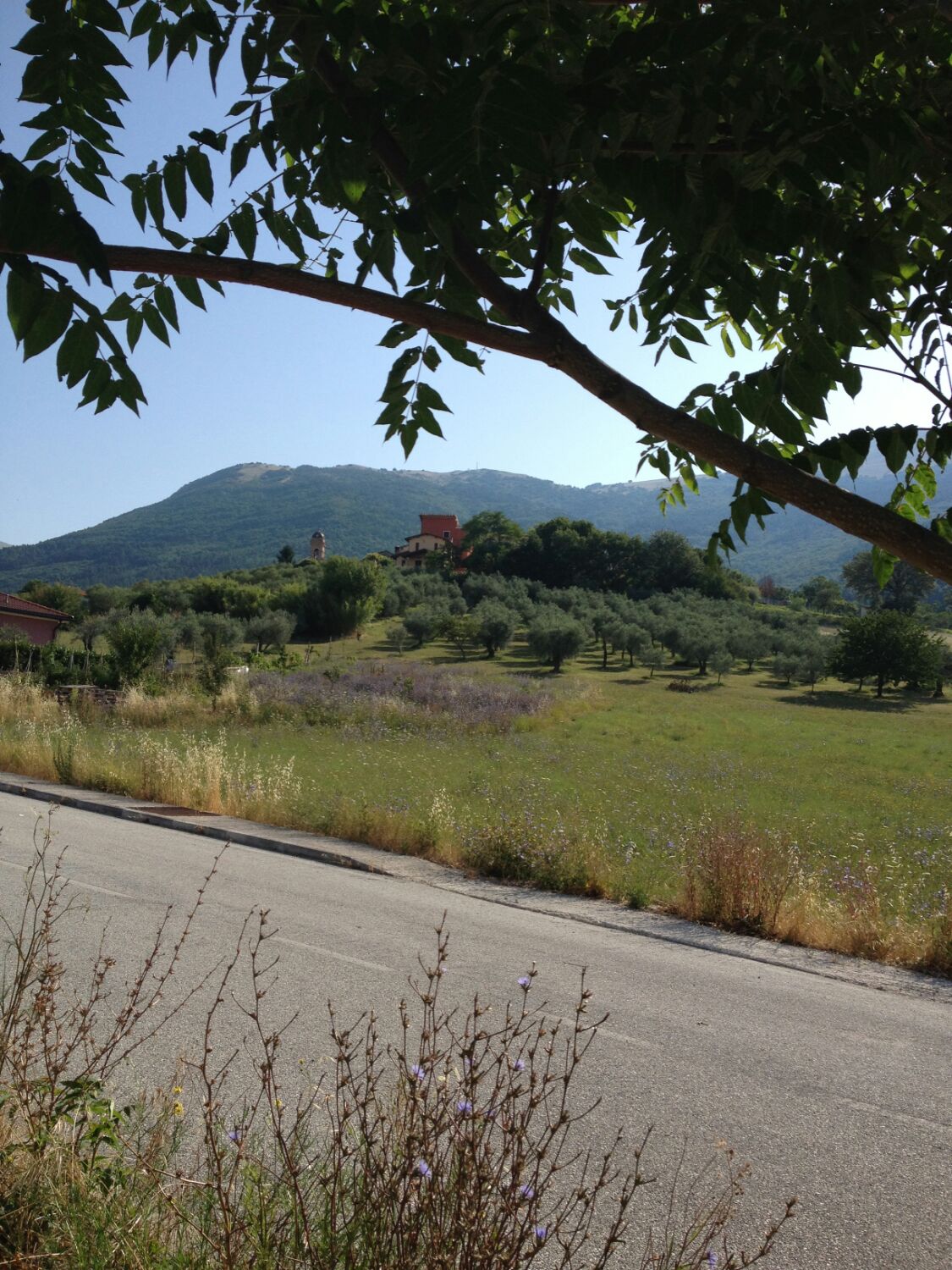 Loredana Mattioli banner