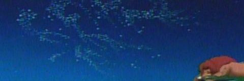 Piscadilly's profile banner image